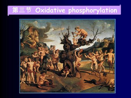 第三节 Oxidative phosphorylation. 一. 氧化磷酸化的机理 What is oxidative phosphorylation 氧化磷酸化（ oxidative phosphorylation ） 是指细胞内伴随有机物氧化，利用生物氧化 过程中释放的自由能，促使 ADP 与无机磷酸.