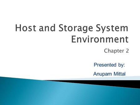 Host and Storage System Environment