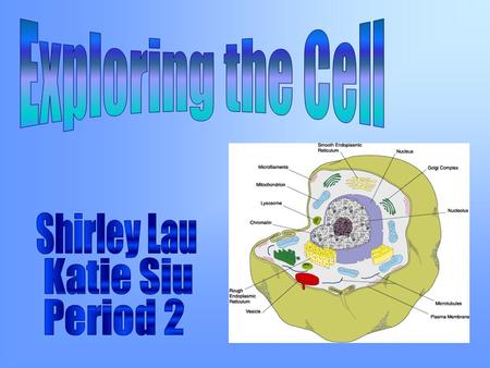 The “brain” of the cell Large, spherical Contains DNA Enclosed in a double- layered nuclear membrane.