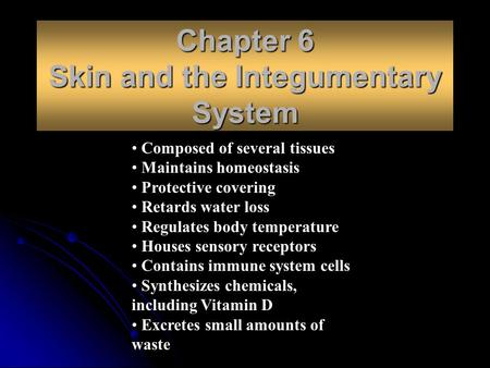 Chapter 6 Skin and the Integumentary System