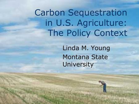 Carbon Sequestration in U.S. Agriculture: The Policy Context Linda M. Young Montana State University.