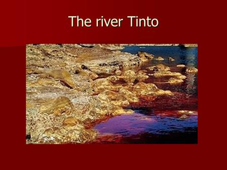 The river Tinto. The River Tinto belongs to the basin of the Guadiana, is born in the Saw of Padre Caro and after crossing almost 100 Km comes even it.