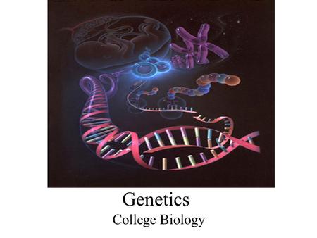 Genetics College Biology. Gregor Mendel Mid 1800’s, Austrian monk. Introduced probability to genetics Mated pea plants.