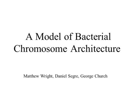 A Model of Bacterial Chromosome Architecture Matthew Wright, Daniel Segre, George Church.