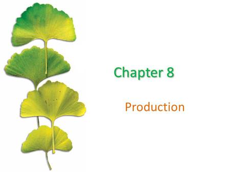 Chapter 8 Production.