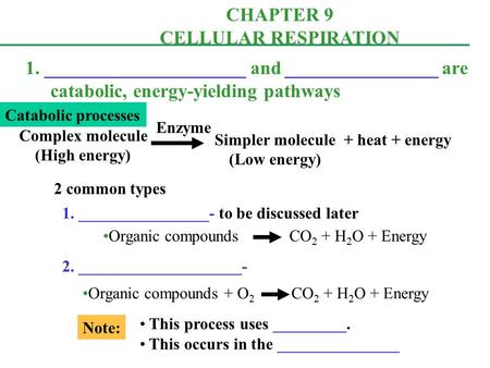 CHAPTER 9 CELLULAR RESPIRATION