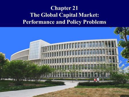 The Global Capital Market: Performance and Policy Problems