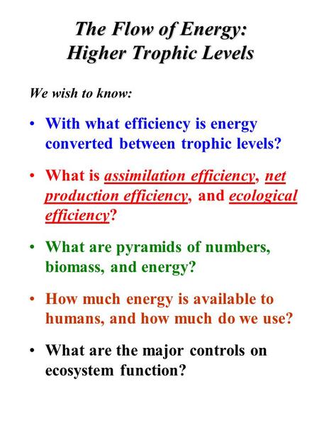 The Flow of Energy: Higher Trophic Levels We wish to know: With what efficiency is energy converted between trophic levels? What is assimilation efficiency,