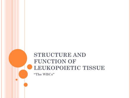 STRUCTURE AND FUNCTION OF LEUKOPOIETIC TISSUE