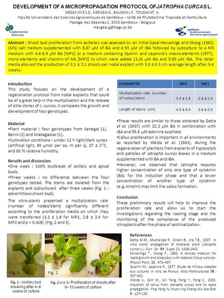 DEVELOPMENT OF A MICROPROPAGATION PROTOCOL OFJATROPHA CURCAS L. MEDZA MVE S.D., MERGEAI G., BAUDOIN J.P., TOUSSAINT A. Faculté Universitaire des Sciences.