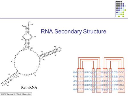 CS262 Lecture 12, Win06, Batzoglou RNA Secondary Structure aagacuucggaucuggcgacaccc uacacuucggaugacaccaaagug aggucuucggcacgggcaccauuc ccaacuucggauuuugcuaccaua.