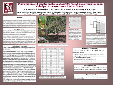 Abstract Chitalpa is a common landscape plant used in the desert southwest United States. In the summer of 2006, Xylella fastidiosa, a xylem-limited bacterium.