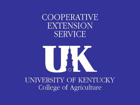 Advisory Leader’s Roles with the Extension Plan of Work Ralph Prince, Advisory Leadership Coordinator University of Kentucky Cooperative Extension Service.