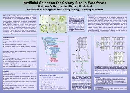 Abstract: The evolution of mortal somatic cells was a critical step in the evolution of complex body plans and the radiation of multicellular life. The.