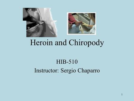 1 Heroin and Chiropody HIB-510 Instructor: Sergio Chaparro.