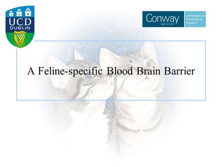 A Feline-specific Blood Brain Barrier. Feline Immunodeficiency Virus Lentivirus Natural infection in cats worldwide Induces disease Animal model of HIV.