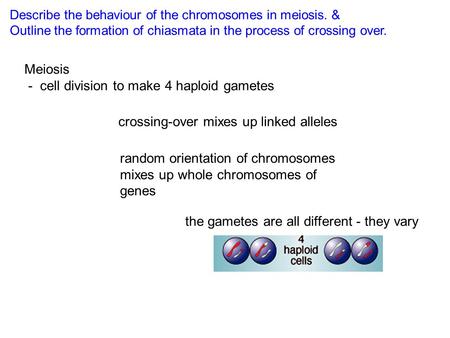 Meiosis - cell division to make 4 haploid gametes crossing-over mixes up linked alleles random orientation of chromosomes mixes up whole chromosomes of.