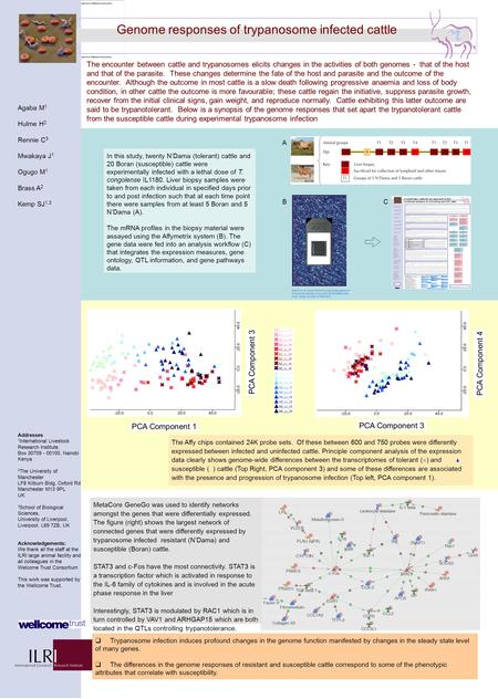 Genome responses of trypanosome infected cattle The encounter between cattle and trypanosomes elicits changes in the activities of both genomes - that.