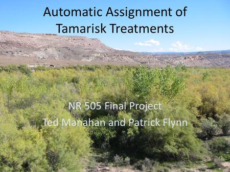 Automatic Assignment of Tamarisk Treatments NR 505 Final Project Ted Manahan and Patrick Flynn.