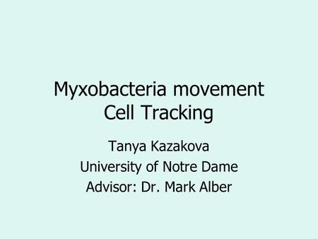 Myxobacteria movement Cell Tracking Tanya Kazakova University of Notre Dame Advisor: Dr. Mark Alber.