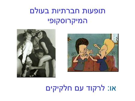 תופעות חברתיות בעולם המיקרוסקופי