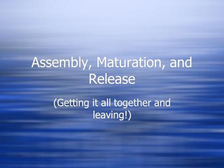 Assembly, Maturation, and Release (Getting it all together and leaving!)