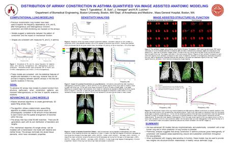 COMPUTATIONAL LUNG MODELING GOAL ADVANCING 3D LUNG MODELS To advance 3D airway tree models to predict function from structure particularly when constriction.