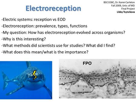 Electroreception -Electric systems: reception vs EOD -Electroreception: prevalence, types, functions -My question: How has electroreception evolved across.