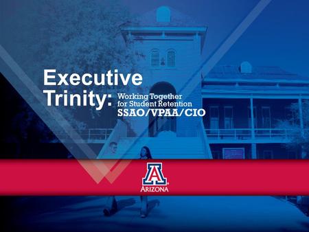 Working Together for Student Retention SSAO/VPAA/CIO Executive Trinity: