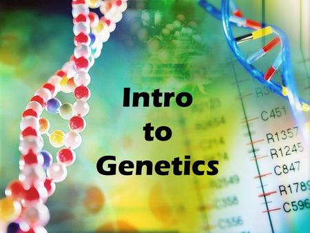 Intro to Genetics. We can predict what traits are possible among the offspring from certain parents by using a Punnett square. A: True B: False.