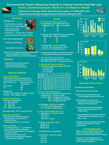 Environmental Effects ~100 shrimp/1 liter were exposed to the following environmental combinations: Temperatures ( o C): Salinities: ppt (g/ l ) 15 30.