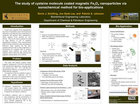 The study of cysteine molecule coated magnetic Fe 3 O 4 nanoparticles via sonochemical method for bio-applications Kevin J. Schilling, Joo Seob Lee, and.