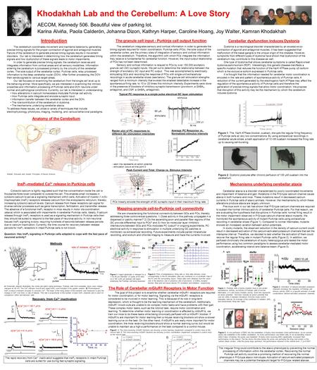 Khodakhah Lab and the Cerebellum: A Love Story AECOM, Kennedy 506. Beautiful view of parking lot. Karina Alviña, Paola Calderón, Johanna Dizon, Kathryn.