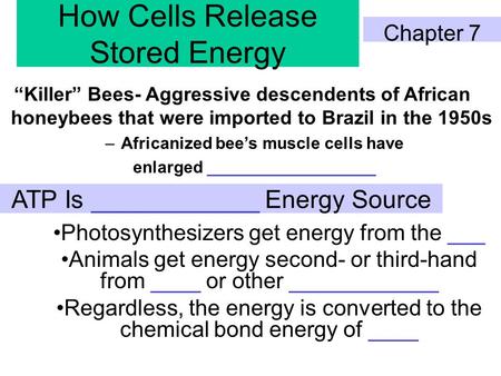 How Cells Release Stored Energy