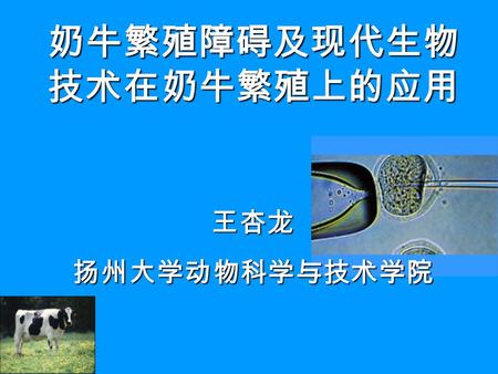 奶牛繁殖障碍及现代生物 技术在奶牛繁殖上的应用 王杏龙扬州大学动物科学与技术学院. 营养成分 奶牛繁殖 是牛奶生产中的关键环节，又是增加牛群 数量、提高牛群质量的前提。它与奶牛的 饲养管理、遗传育种、疾病防治关系十分 密切。 提高母牛的繁殖力应综合考虑上述因素； 还可利用现代繁殖新技术。