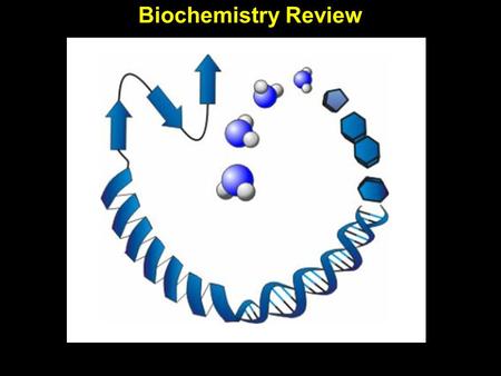 Biochemistry Review. Organic molecules are molecules that contain carbon. They include: Biochemistry Review.