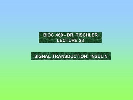 SIGNAL TRANSDUCTION: INSULIN