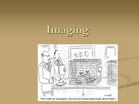 Imaging PET Course Layout Class + ContentDateClass Physical Principles of PET23.2.2005I Physical principles of MRI2.3.2005II Imaging applications9.3.2005III.