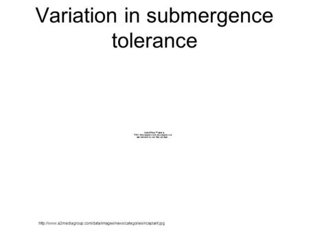 Variation in submergence tolerance