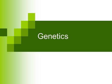 Genetics. Somatic Cells Review Autosomes: Pairs that Call for anything but Gender (22 pairs) Sex Chromosomes: (1 pair): XX=female XY=male.