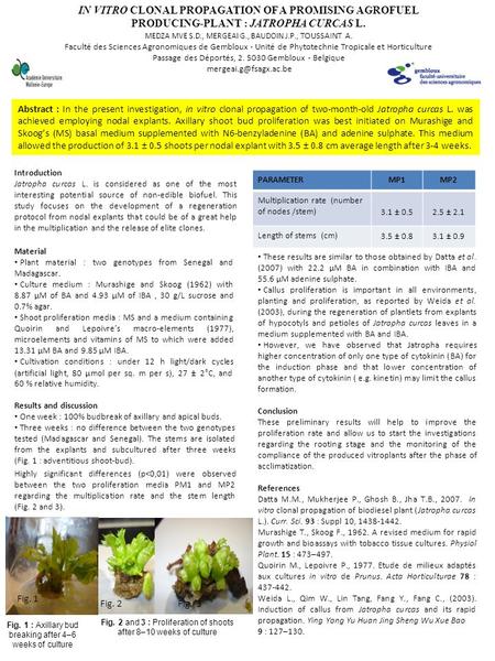 IN VITRO CLONAL PROPAGATION OF A PROMISING AGROFUEL PRODUCING-PLANT : JATROPHA CURCAS L. MEDZA MVE S.D., MERGEAI G., BAUDOIN J.P., TOUSSAINT A. Faculté.