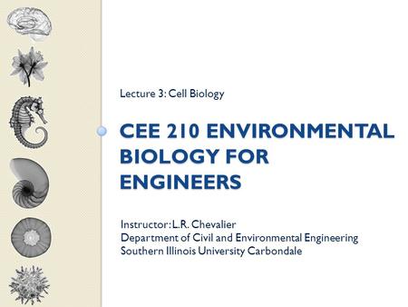 CEE 210 ENVIRONMENTAL BIOLOGY FOR ENGINEERS Lecture 3: Cell Biology Instructor: L.R. Chevalier Department of Civil and Environmental Engineering Southern.