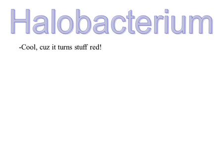 -Cool, cuz it turns stuff red! The halobacterium has been around for billions of years Species: H. salinariumStrain: NRC-1 Organism: Archaea (meaning: