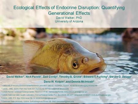 Ecological Effects of Endocrine Disruption: Quantifying Generational Effects David Walker, PhD University of Arizona David Walker 1, Nick Paretti 2, Gail.