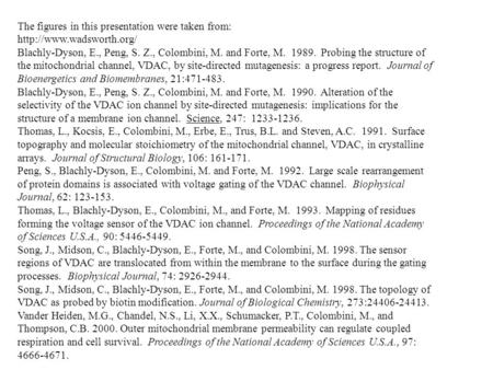 The figures in this presentation were taken from:  Blachly-Dyson, E., Peng, S. Z., Colombini, M. and Forte, M. 1989. Probing the.