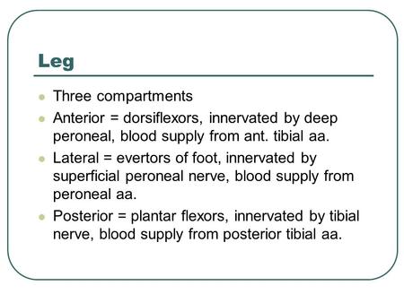 Leg Three compartments Anterior = dorsiflexors, innervated by deep peroneal, blood supply from ant. tibial aa. Lateral = evertors of foot, innervated by.