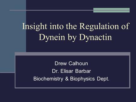 Insight into the Regulation of Dynein by Dynactin Drew Calhoun Dr. Elisar Barbar Biochemistry & Biophysics Dept.