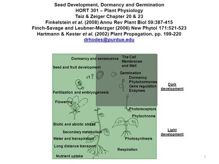 Dark development Photosynthesis Nutrient uptake Respiration Dormancy Phytohormones Gene regulation Enzymes Long distance transport The Cell Membranes and.