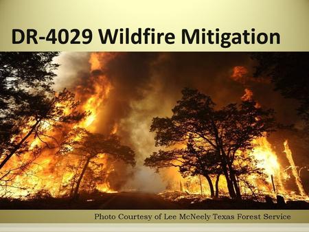 DR-4029 Wildfire Mitigation