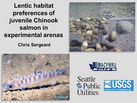 Lentic habitat preferences of juvenile Chinook salmon in experimental arenas Chris Sergeant R.Tabor.